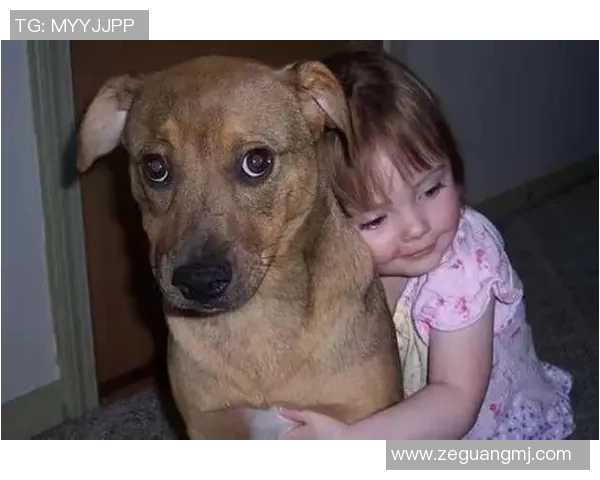 巴西足球明星鲜为人知的趣味冷知识揭秘与历史回顾 巴西足球明星鲜为人知的趣味冷知识揭秘与历史回顾