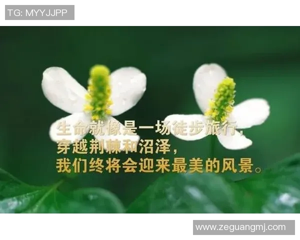 足球明星的励志名言激励你追逐梦想与坚持不懈的精神