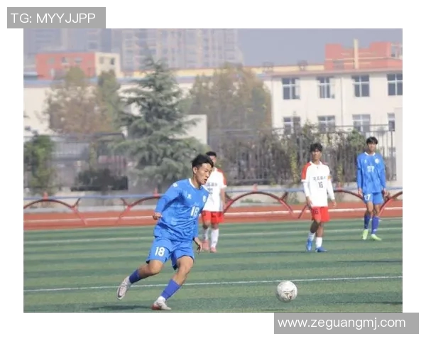 呐喊绿茵场的足球明星们他们用激情与才华书写传奇