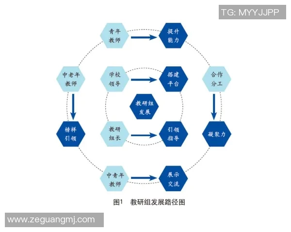 中小学体育课程标准的全面解读与实施策略探讨