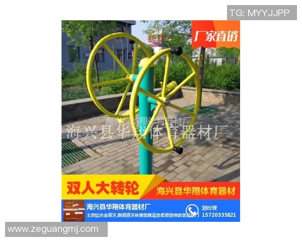 户外体育健身器材价格分析与市场趋势探讨，助您选择合适的健身设备