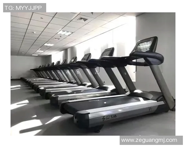 烟台健身器材市场分析与发展趋势探讨助力健康生活新方式